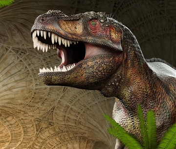 Dinosaurs the Natural History Museum are heading to Cathedral, summer 2020 - Peterborough Cathedral